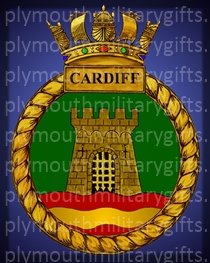HMS Cardiff Magnet